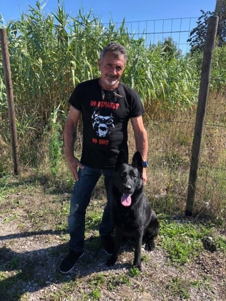 Gerald CALDES éducateur canin - photo 1