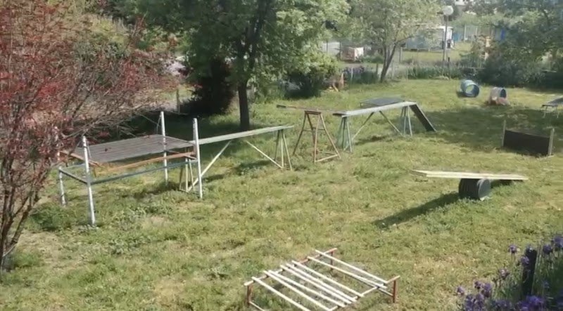 Gerald CALDES éducateur canin - photo 2