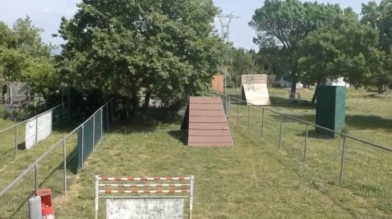 Gerald CALDES éducateur canin - photo 3