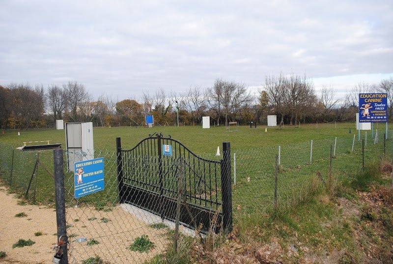 C.A PRO CANIN - photo 1