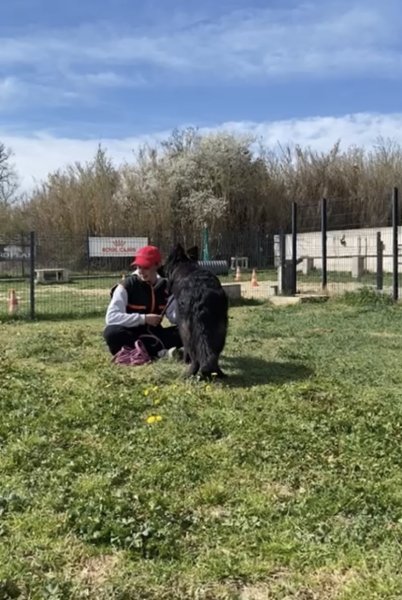 Carla Conscience Canine - photo 1