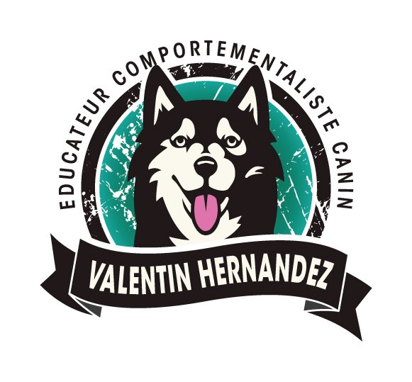Hernandez Valentin - Educateur Comportementaliste Canin - photo 2
