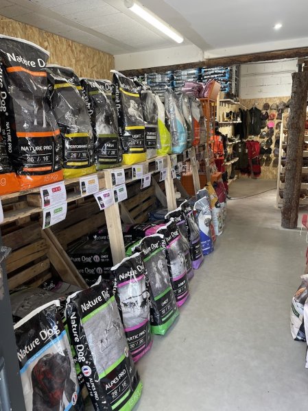 Nature dog 84 - photo 1