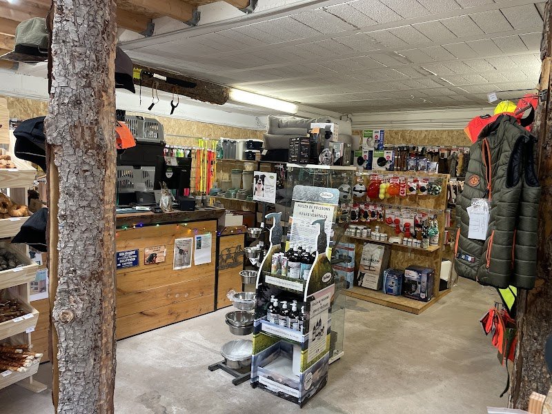 Nature dog 84 - photo 3