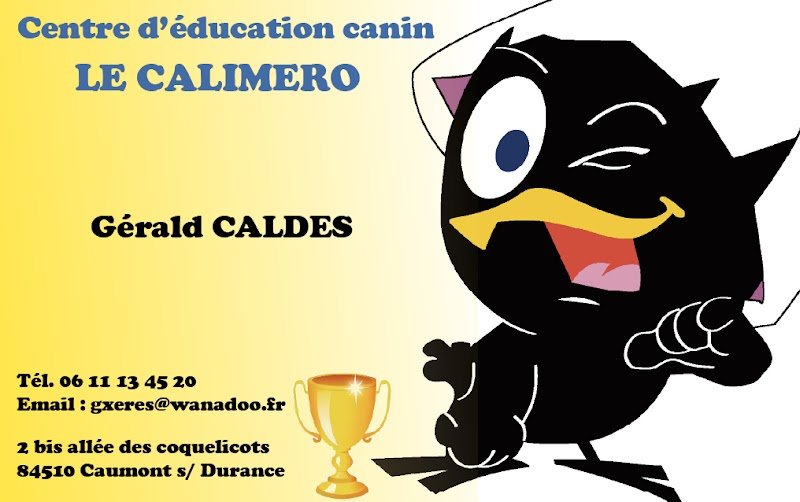 Club d'éducation canine - photo 1