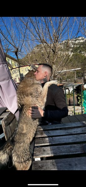 WESTLAND WOLF (éducateur canin comportementaliste)