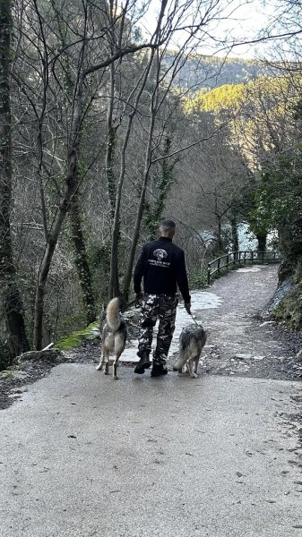 WESTLAND WOLF (éducateur canin comportementaliste) - photo 2