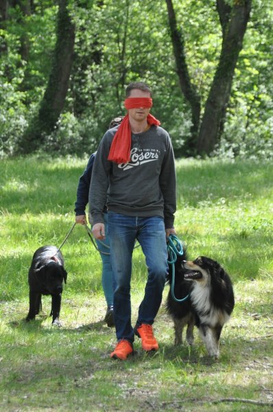 Patte à patte, éducation et médiation canine Drôme (26) Ardèche (07) - photo 3