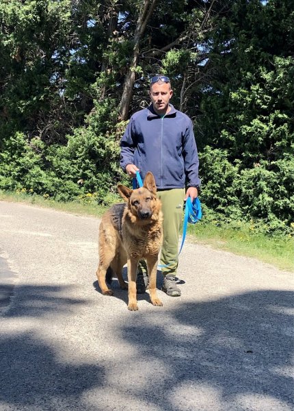 Centre canin du Ventoux