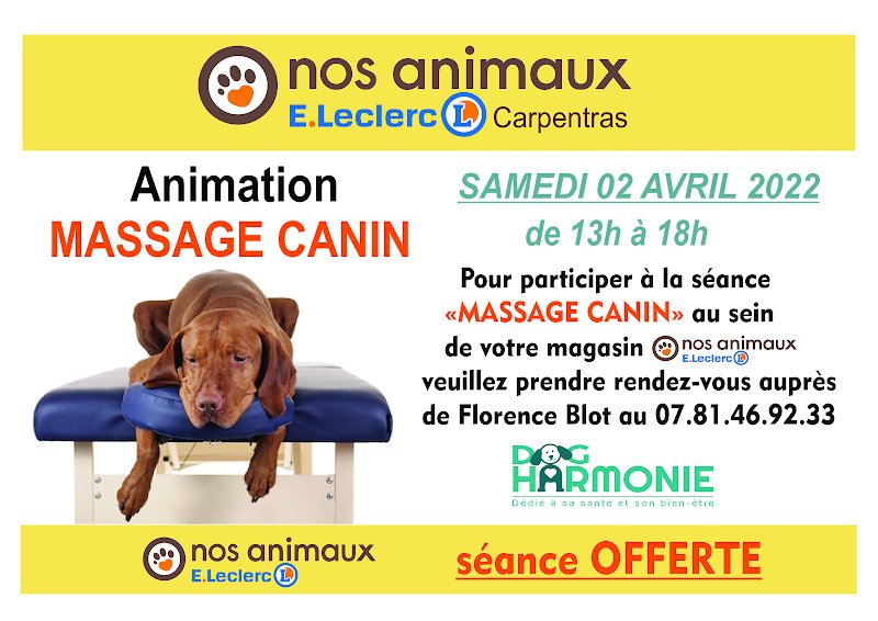 Dog Harmonie - photo 2