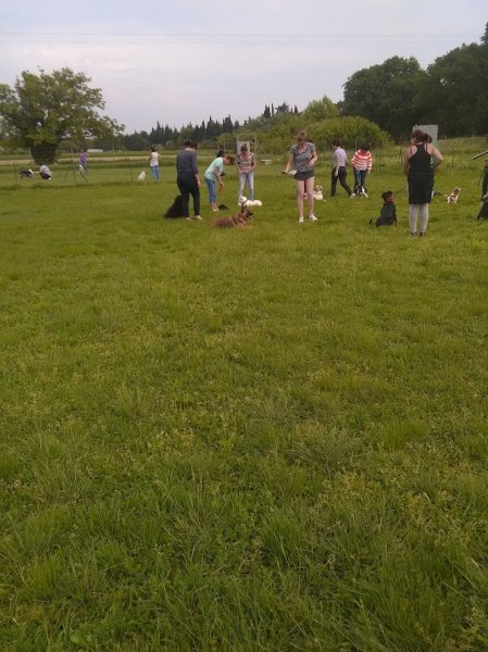 Sorting Club Canin De Jonquieres - photo 1