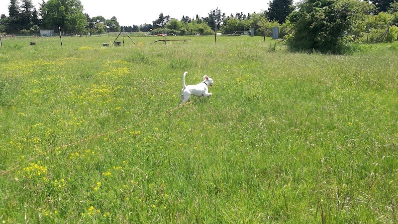 Sorting Club Canin De Jonquieres - photo 2