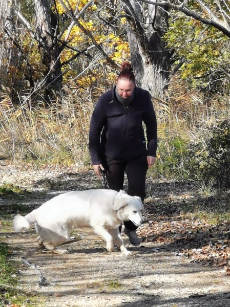 Anne Educ - Éducatrice canine à domicile/extérieur et sur terrain - pension à domicile - Aubignan - photo 2
