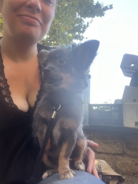 Juliette, Votre Éducatrice Canin Comportementaliste En Vaucluse - photo 2