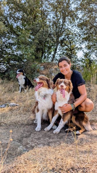 Éducation canine, élevage de berger australien la Bélaurendière . Chez Noémie, Rognes (13)