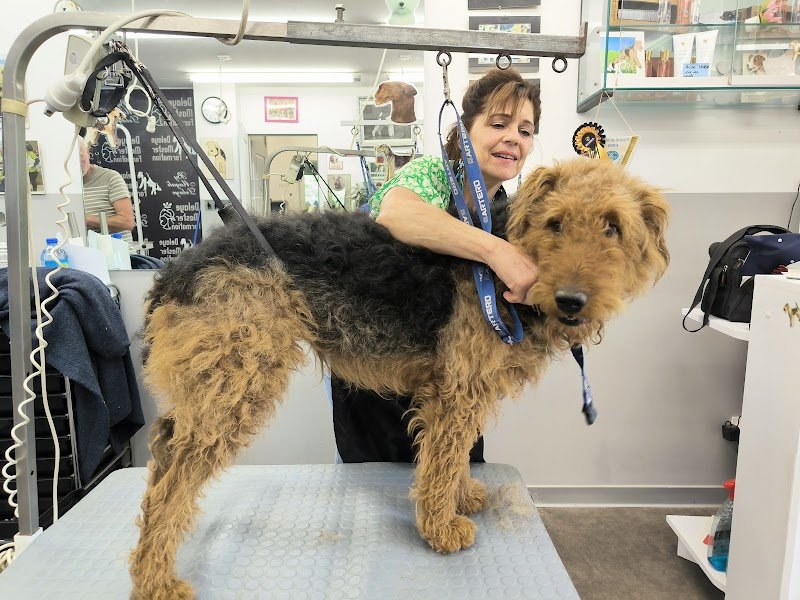 LE CHIEN BLEU - photo 1