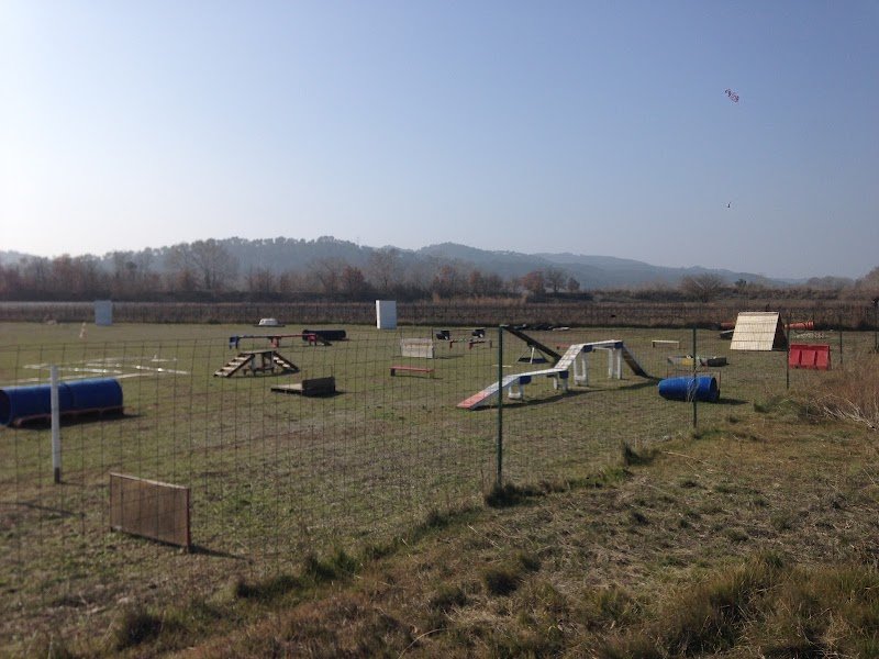 Éducation canine CADENET