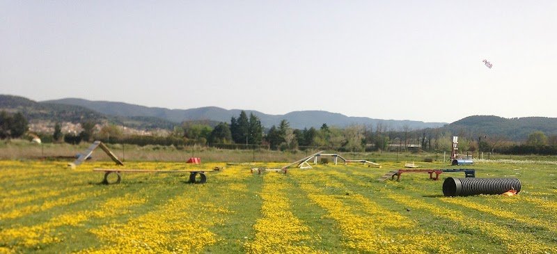 Éducation canine CADENET - photo 2