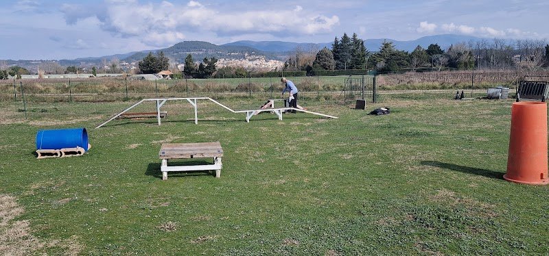 Éducation canine CADENET - photo 3