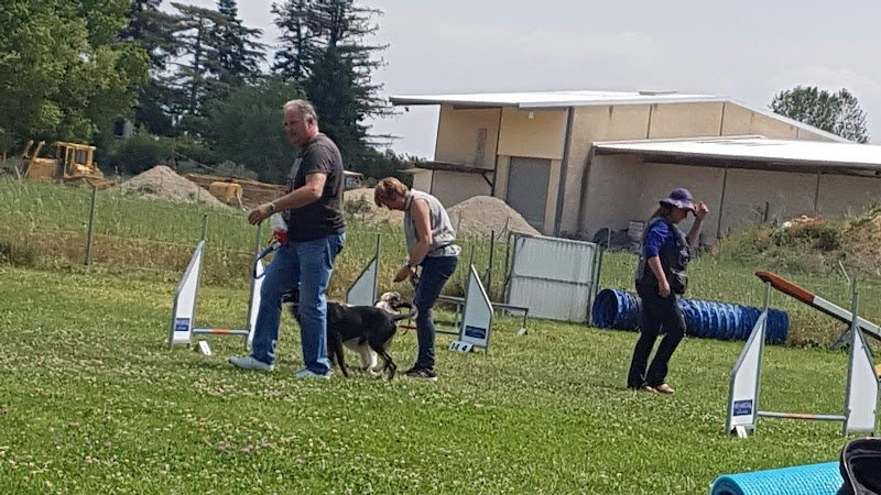 Camille Parenty - Agility