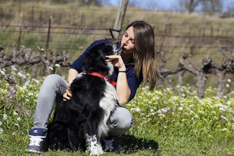 Coach Canin Vaucluse