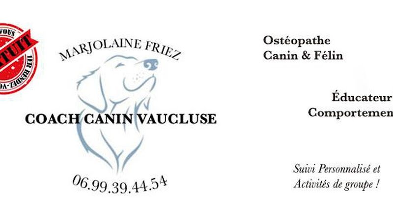 Coach Canin Vaucluse - photo 3