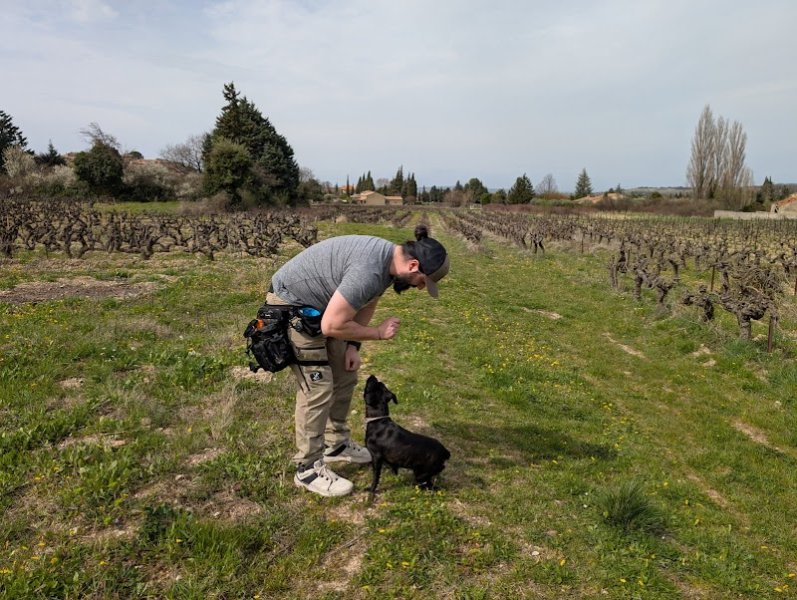 GentleDogs Education - photo 1