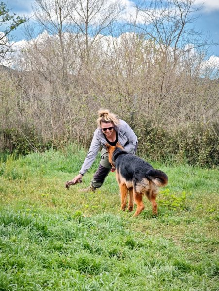 GentleDogs Education - photo 2