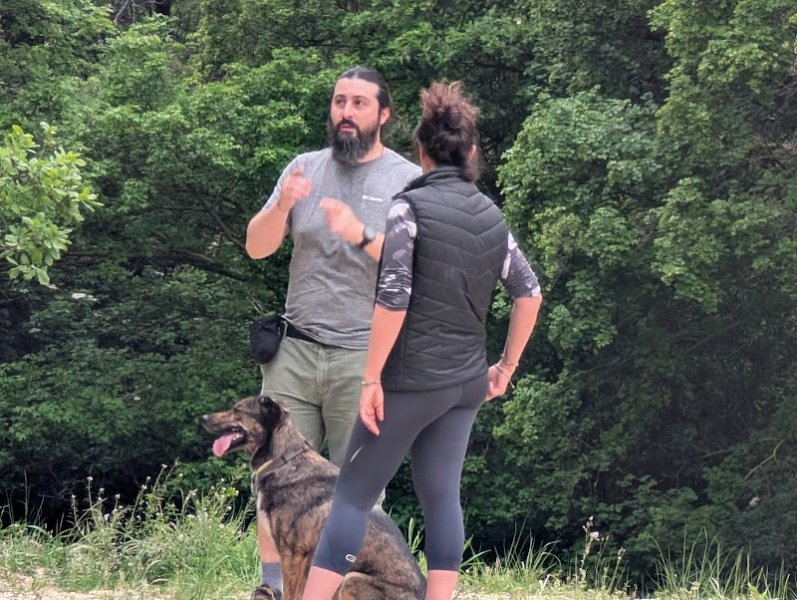 GentleDogs Education - photo 3