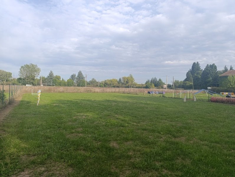 Club Canin d'Orange-Caderousse