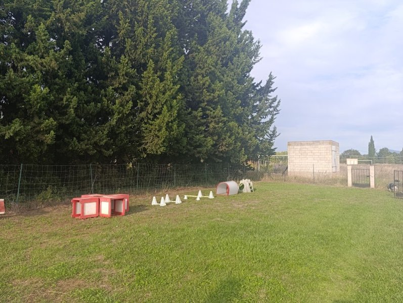Club Canin d'Orange-Caderousse - photo 2