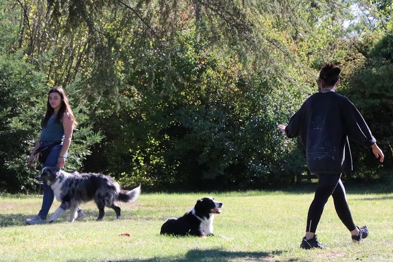 éducateur canin loucadel - photo 1