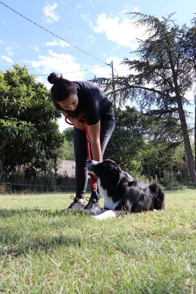 éducateur canin loucadel - photo 3