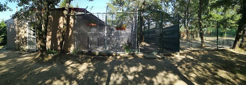 C.A PRO CANIN - photo 1