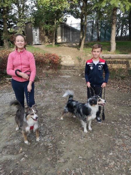 C.A PRO CANIN - photo 2