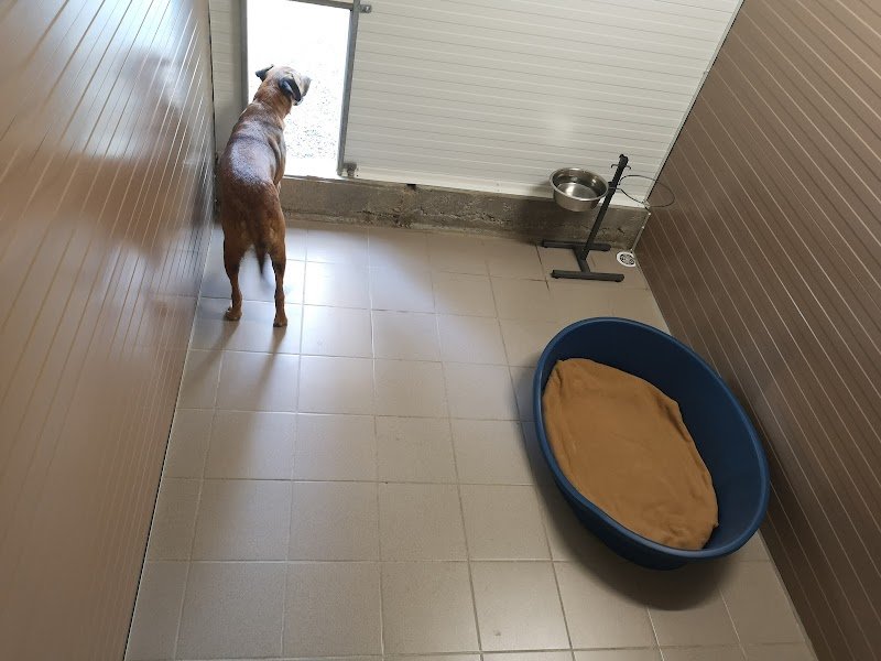 C.A PRO CANIN - photo 3