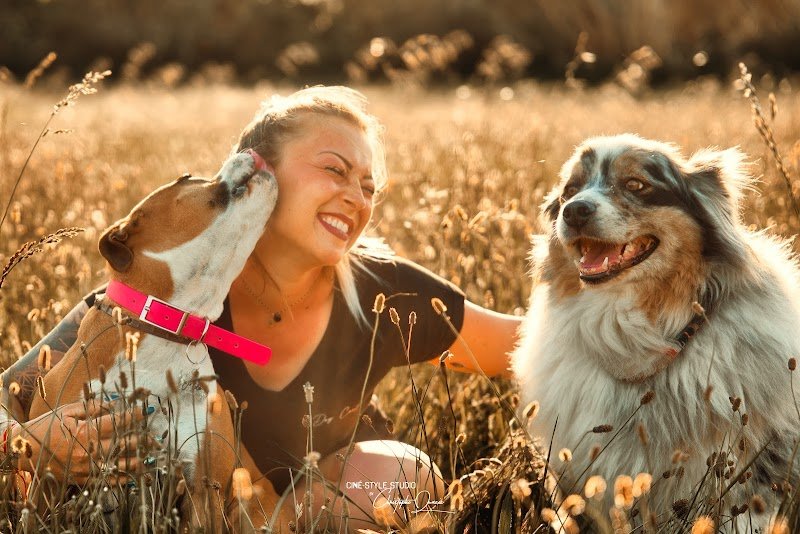 Dog Control – Centre d’éducation canine et de formation - photo 1