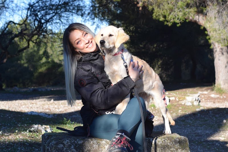 Dog Control – Centre d’éducation canine et de formation - photo 2