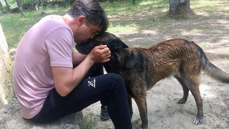 Education canine Aix en Provence - photo 1