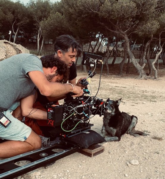 Education canine Aix en Provence - photo 2