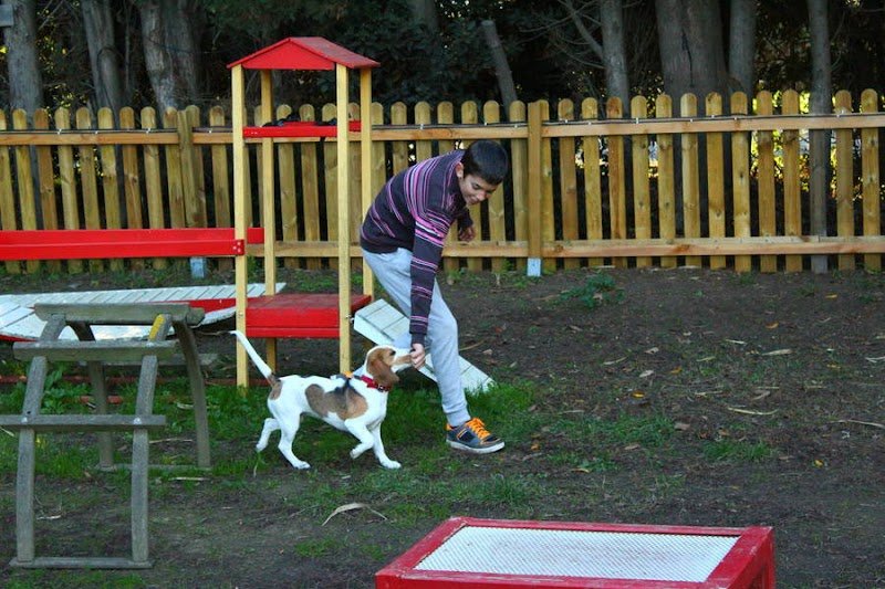 Education Canine et Agility du Roussillon - photo 1