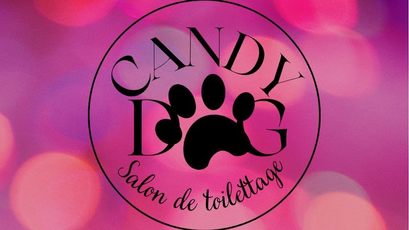 Toilettage Candy Dog - photo 1
