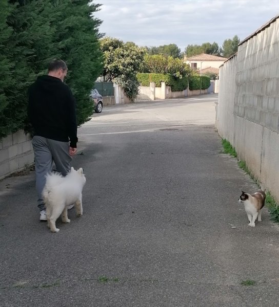 Aurélie Éducation Canine & Comportementaliste - photo 3