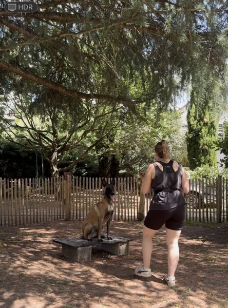 Educanin 26 - Education canine et médiation animale - photo 3