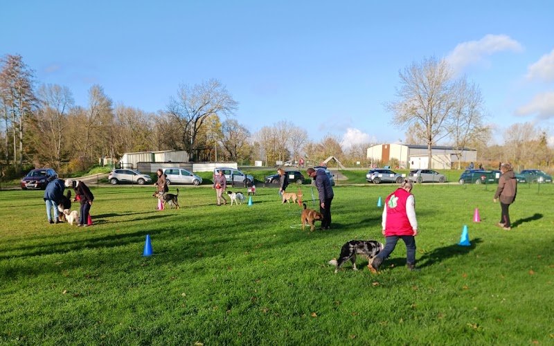 CECVI - Club d'Education Canine de Villedieu sur Indre - photo 1