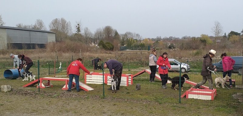 CECVI - Club d'Education Canine de Villedieu sur Indre - photo 2