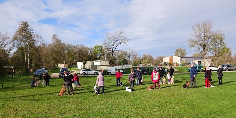 CECVI - Club d'Education Canine de Villedieu sur Indre - photo 3