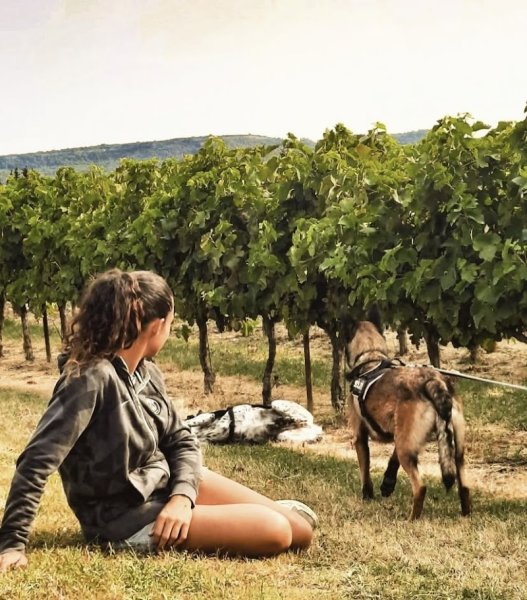 Educateur/comportementaliste Canin - My Dog Experience - photo 1