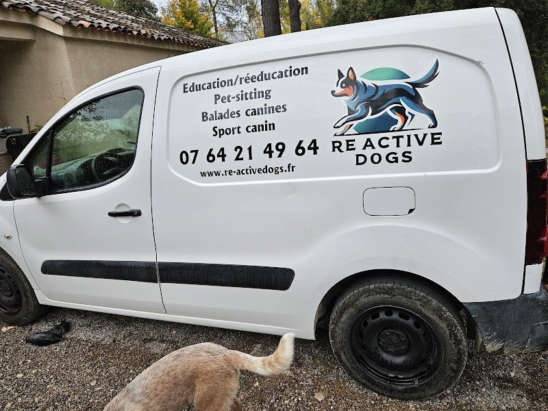 Re-active Dogs - photo 3