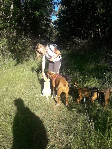 Mine d'Or, L'Esprit Canin - Education canine bienveillante et respectueuse - photo 2